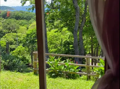 a view from a window of a garden at Papaturro House in La Cruz
