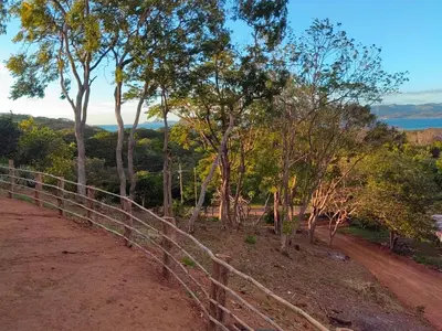 a fence on the side of a dirt road with trees at Papaturro House in La Cruz