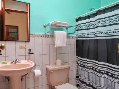a bathroom with a sink and a toilet and a shower at Hotel La Guaria Inn & Suites in Alajuela City