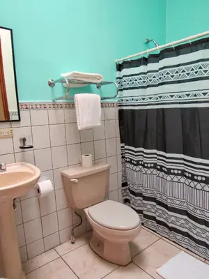 a bathroom with a toilet and a shower curtain at Hotel La Guaria Inn & Suites in Alajuela City