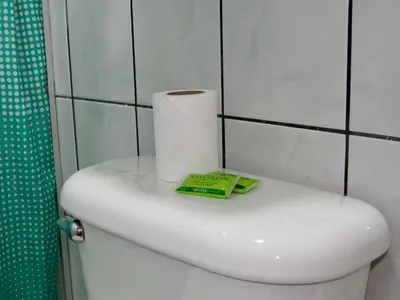 a toilet with a roll of toilet paper on it at Hotel La Guaria Inn & Suites in Alajuela City