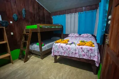a bedroom with a bunk bed and a ladder at Los Paniquines Ecolodge in Drake