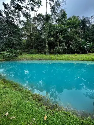 Gallery image of Mineral River Eco Village in Upala