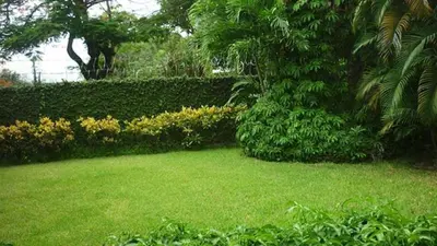 a green yard with a palm tree and bushes at Hotel El Bramadero in Liberia