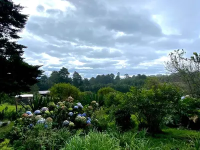 a garden with lots of flowers in the grass at Casa Monte Armadillo in Poás