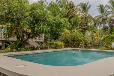 a swimming pool in a yard with trees at Casa Choucoune in Parrita
