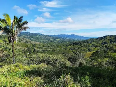 a palm tree on a hill with mountains in the background at House in Cuajiniquil ,Belen de nosarita in Cuajiniquil