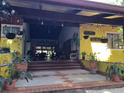 a yellow building with potted plants in front of it at Lodge Barka Lounge in Jabilla