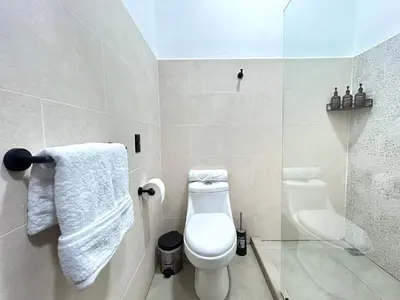 a white bathroom with a toilet and a shower at Celajes del Poás in Poás