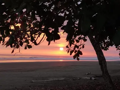 a sunset on the beach with a tree at Casa Garrobo in Laguna