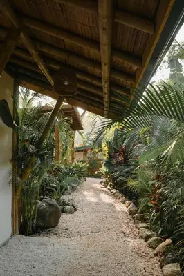Gallery image of Dream Surf House Santa Teresa (Playa Hermosa) in Playa hermosa
