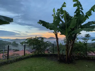 a couple of banana trees next to a fence at Casa Amanecer Bed & Breakfast in San Ramón