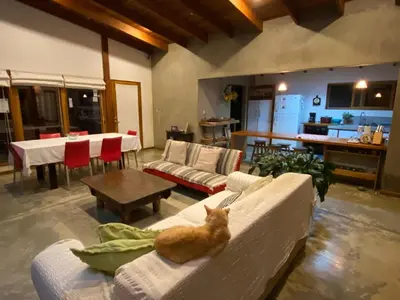 an orange cat sitting on a couch in a living room at Casa Amanecer Bed & Breakfast in San Ramón
