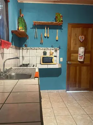 a kitchen with a sink and a blue wall at Surf House in Sámara