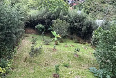 a garden with trees and plants in a field at Casa mirando a la montaña, camino al volcán in Alajuela City
