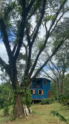 a blue house behind a tree in a field at Casa de campo rodeada de naturaleza in San Francisco