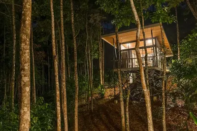 a tree house in the middle of the forest at Pandanus Lodge & Retreats Bungalow Gingiber in Cariblanco
