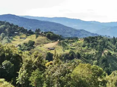 a view of a hill with trees and mountains at La Casona de Los Santos in Cedral