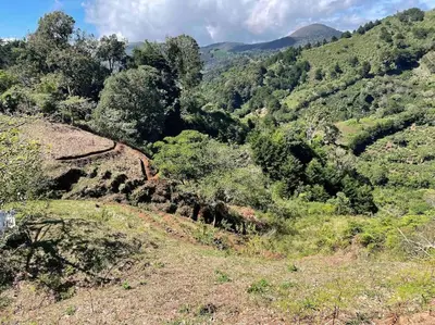 an overhead view of a forest of trees on a hill at La Casona de Los Santos in Cedral