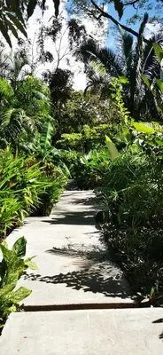 a sidewalk with trees and plants on it at Casa Remy - Walk to the Beach and stay in a private compound! Pool, Kitchen, AC, Wi-Fi in Mal País