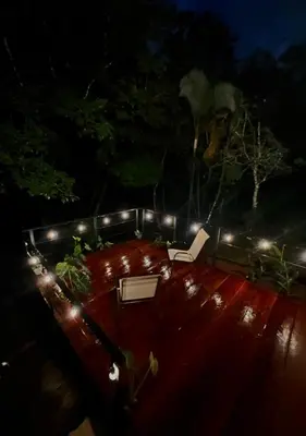 a night time view of a garden with lights at Ficus house in Boca Tapada