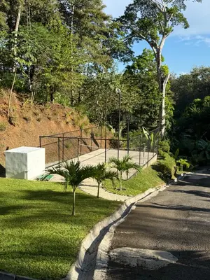 a road with a park with palm trees on a hill at Vida Palace in Jacó