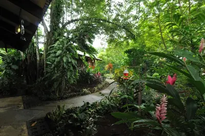 a path through a garden with flowers and trees at Las Brisas del Sur in Ojochal