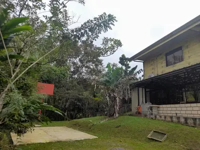 a house with a tree in front of it at Casa Lapas. in Aguas Zarcas