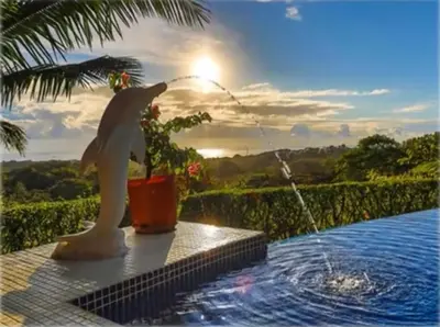 a statue of a cat standing next to a swimming pool at PRIVATE SPACE Just you and the Birds with PRIVATE INFINITY POOL in Uvita