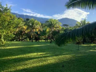 a park with palm trees and mountains in the background at PRIVATE SPACE Just you and the Birds with PRIVATE INFINITY POOL in Uvita