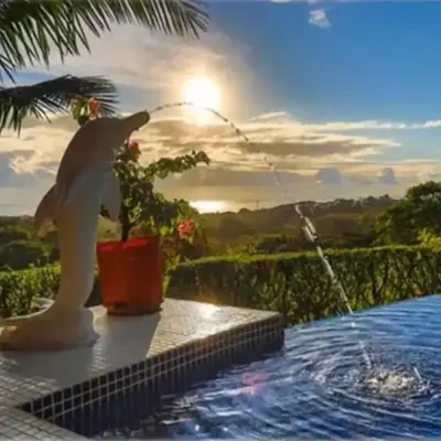 PRIVATE SPACE Just you and the Birds with PRIVATE INFINITY POOL