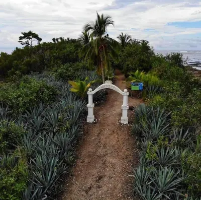 a white archway on a dirt road near the ocean at Anez Cabin'S in Cabuya