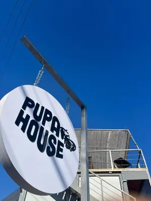 ayran house sign on the side of a building at Capsule Pupa House in Tamarindo
