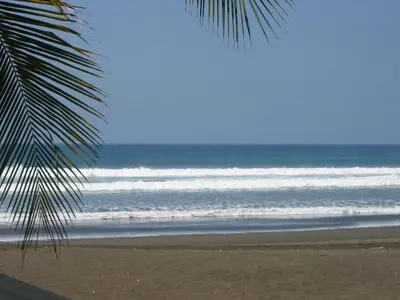 a view of the ocean from a beach with a palm tree at Classy Beachfront Home with Private Pool - Hermosa Palms 110 in Playa Hermosa