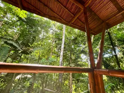 a view from the inside of a cabin in the forest at Yogachal Vista Mar Bamboo House in the Jungle in Ojochal