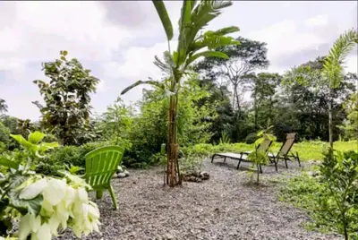 a garden with green chairs and a palm tree at Yogachal Vista Mar Bamboo House in the Jungle in Ojochal