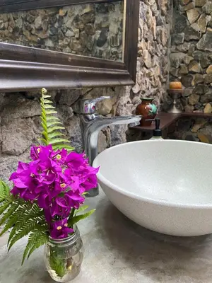 a bathroom with a sink and purple flowers in a jar at Jicote finca de ecoturismo 2 in Cartago