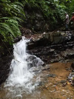 a man standing next to a waterfall in a forest at Finca Makambu in Platanillo