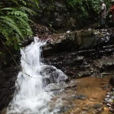 Finca Makambu