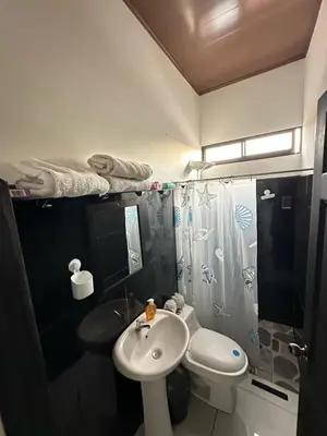a bathroom with a sink and a toilet and a shower at Apartamento Rodriguez in Quepos