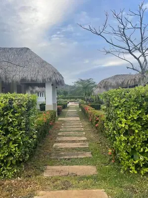 a pathway leading to a building with a grass roof at Casa Pacifico 46 Tamarindo in Santa Cruz