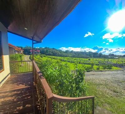 a porch with a bench looking out at a field at Hotel Almore in Monteverde Costa Rica