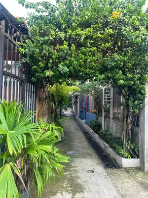 an alley with trees and plants on a street at Apartamento BYES in Quepos
