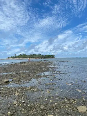 a beach with rocks and the ocean with a cloudy sky at Deer House Cabuya in Cabuya