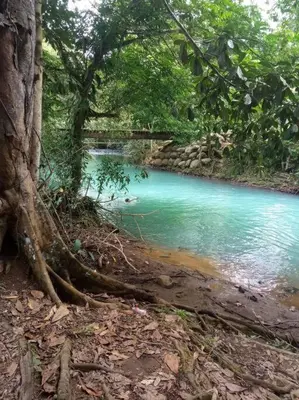 a river in the middle of a forest with trees at Pocho's Place Rio Celeste in San Antonio
