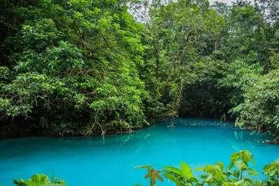 a blue pool of water in the middle of a forest at Pocho's Place Rio Celeste in San Antonio