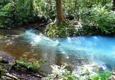 a creek with blue water in the middle of a forest at Pocho's Place Rio Celeste in San Antonio