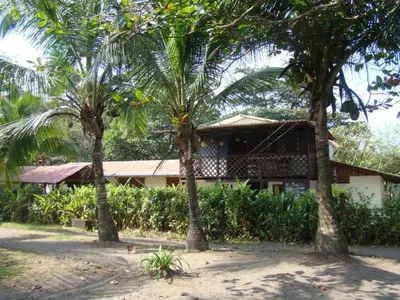 a house with palm trees in front of it at Cabinas Balcon del Mar Tortuguero in Tortuguero