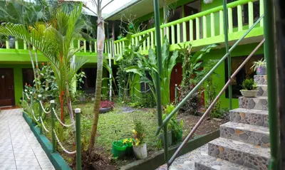 a garden in a house with palm trees and plants at Cabinas El Muellecito in Tortuguero