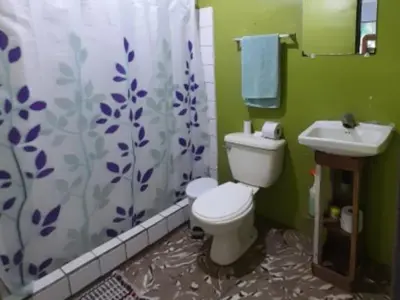 a bathroom with a toilet and a sink and a shower curtain at Hospedaje Meryscar in Tortuguero